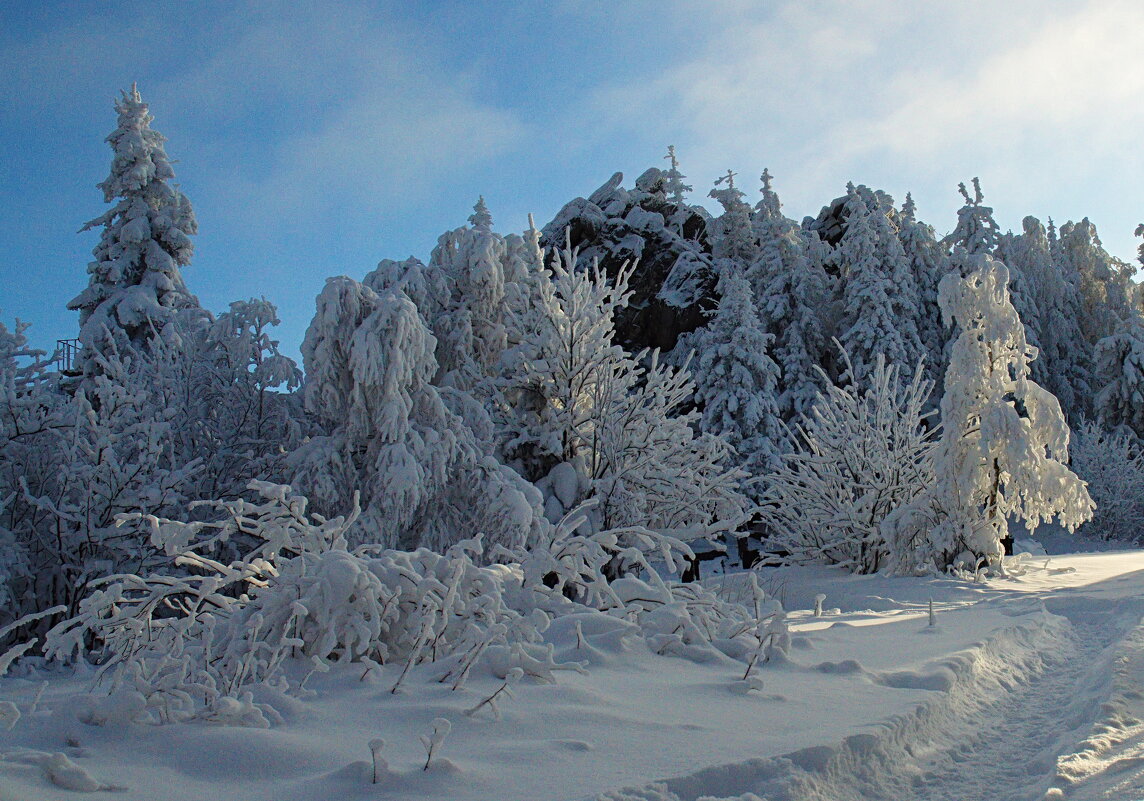Зимы очарование, ноябрь в горах. - Galina Serebrennikova