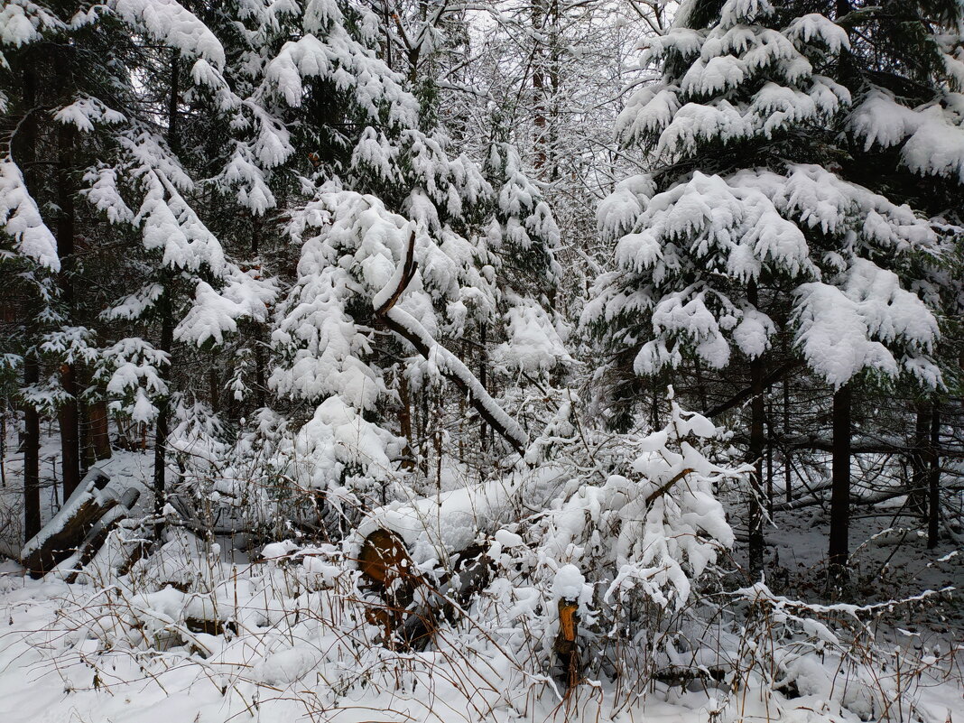 Воспоминание о недавнем снеге - Андрей Лукьянов
