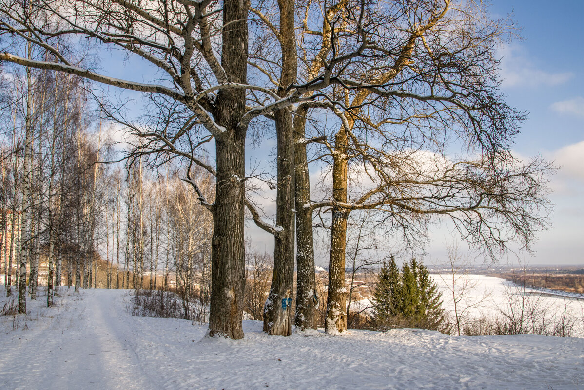 Чижевское городище - Елена Чудиновских