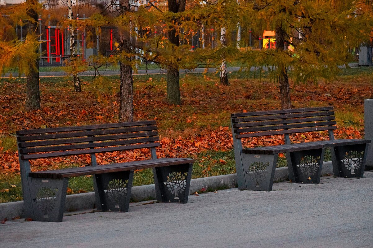 Вечер в парке. - Татьяна Помогалова