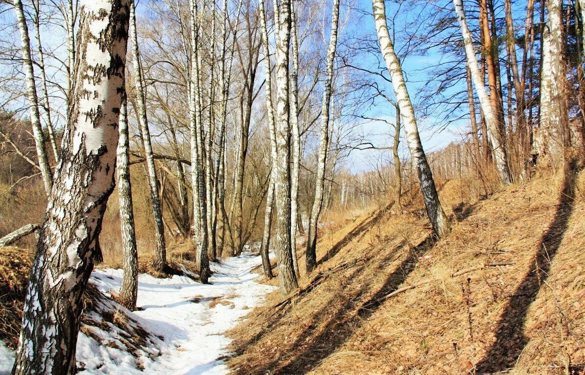 осень - Владимир Холодницкий