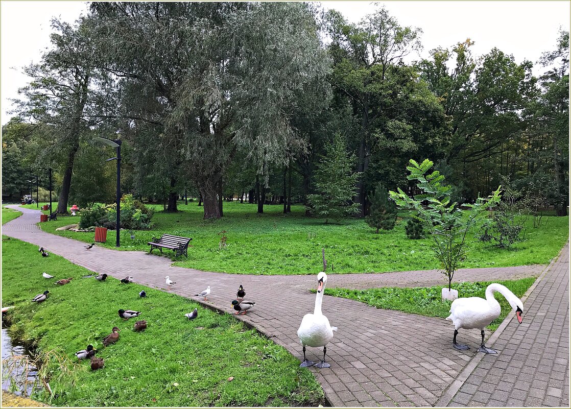 В парке. - Валерия Комова