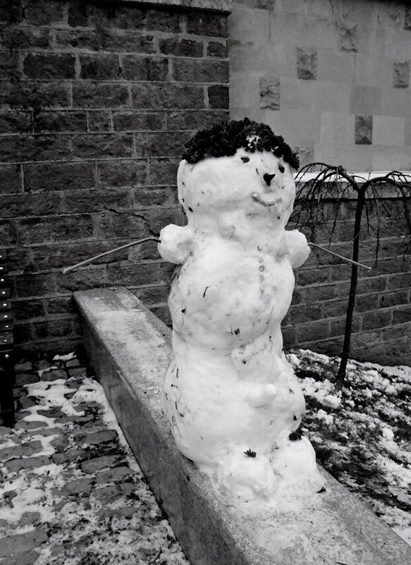 Первый   Снеговик... - Евгений 