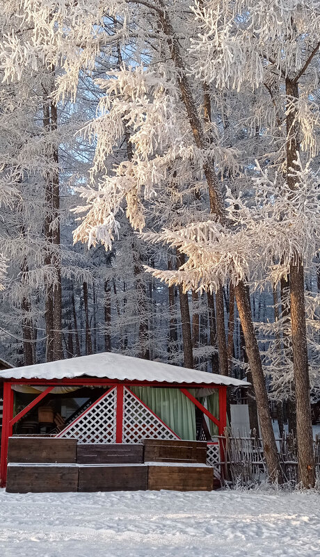 Зима в моём городе - Nina Karyuk