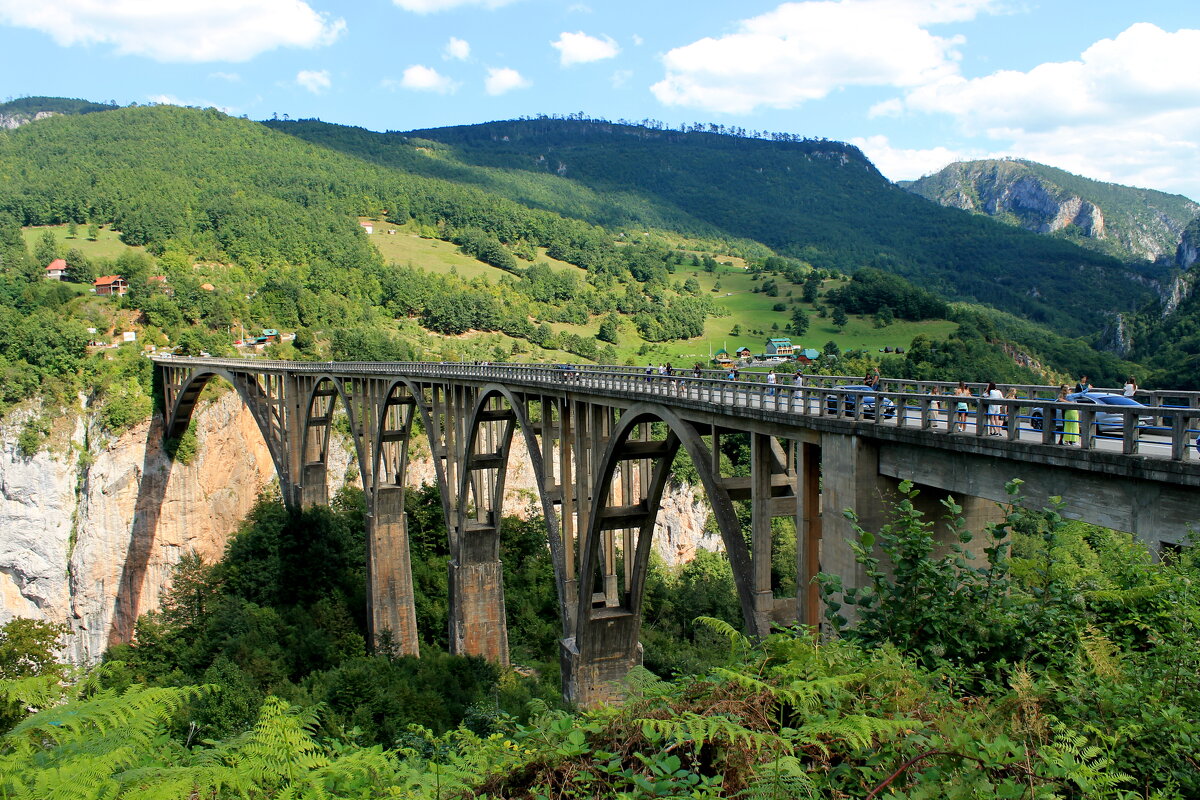 Черногория,2020г. Мост Джурджевича через реку Тара - tina kulikowa