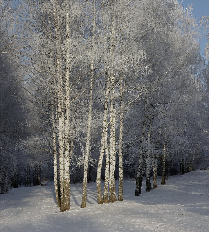 Начало зимы - Olenka 