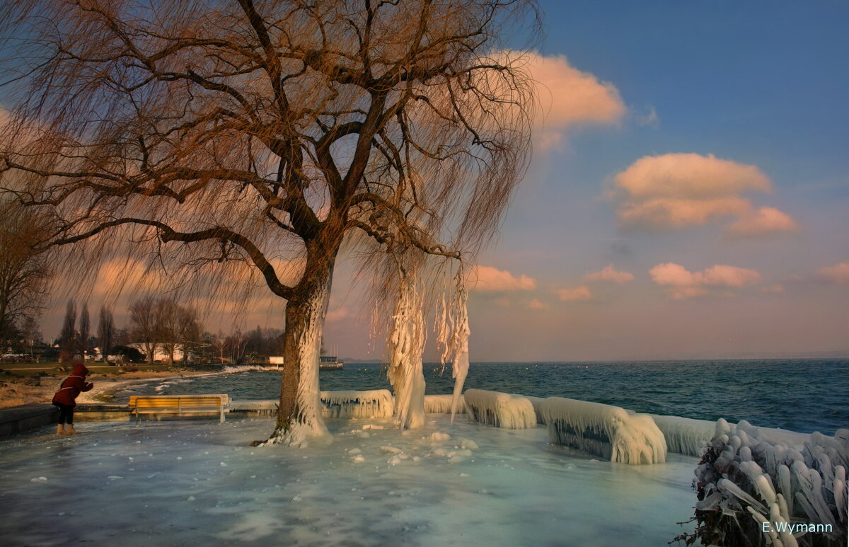 Bodensee - Elena Wymann