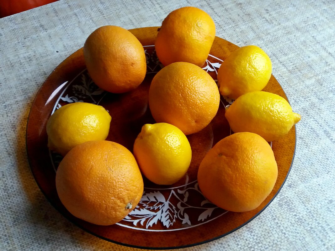 Апельсино-лимоно-мандариновый натюрморт - Galina Solovova