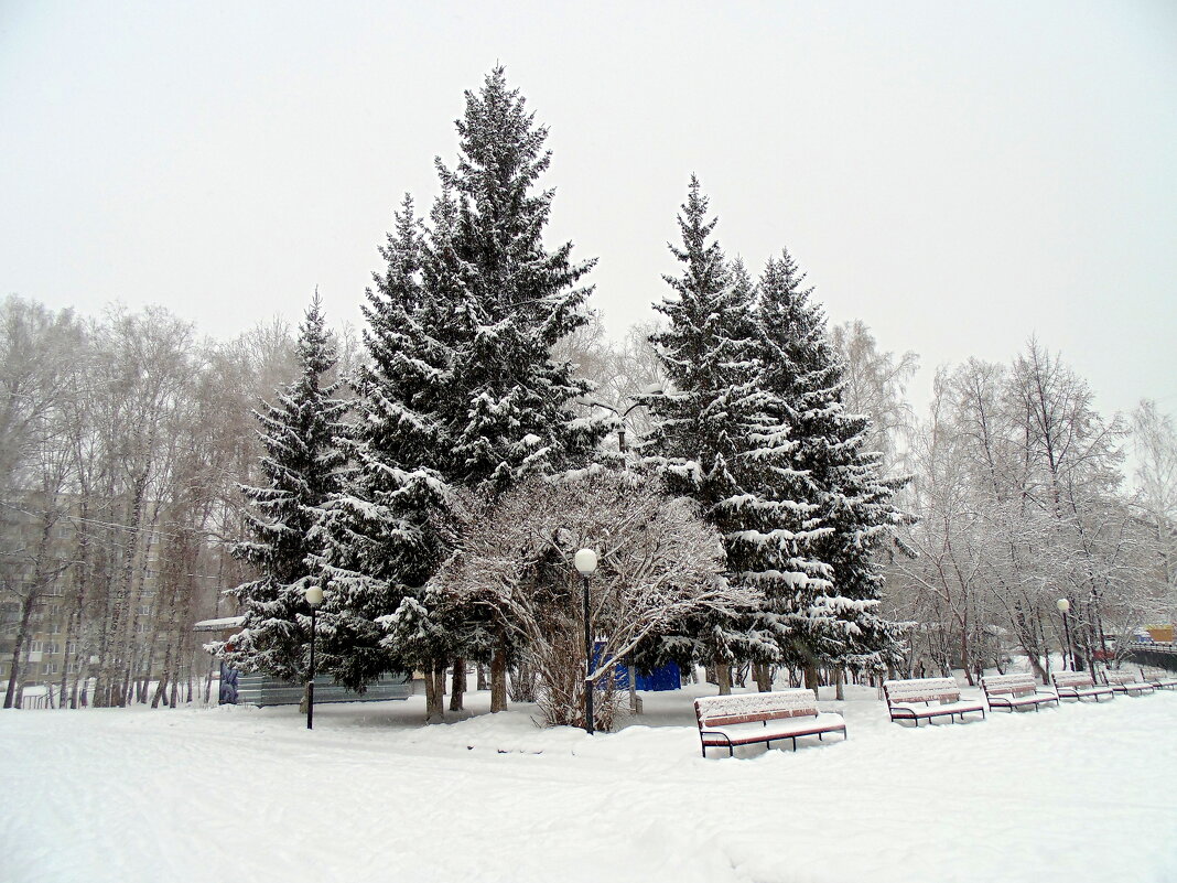 Городской пейзаж в снегопад . - Мила Бовкун