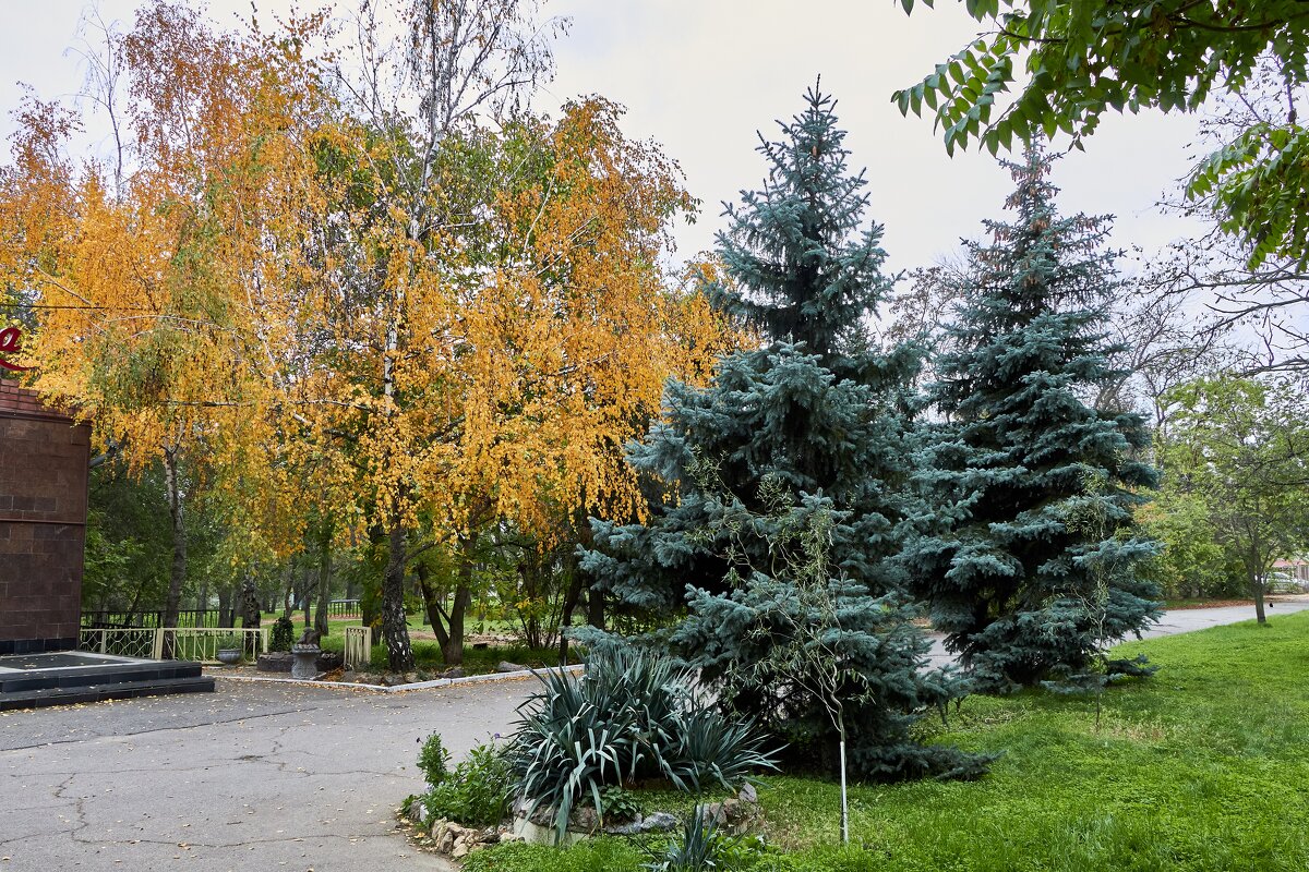 Осенний парк в Херсоне - Алексей Р.