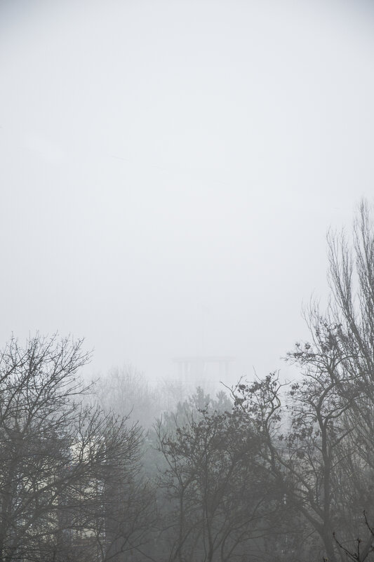 Туман - Надежда Мельникова