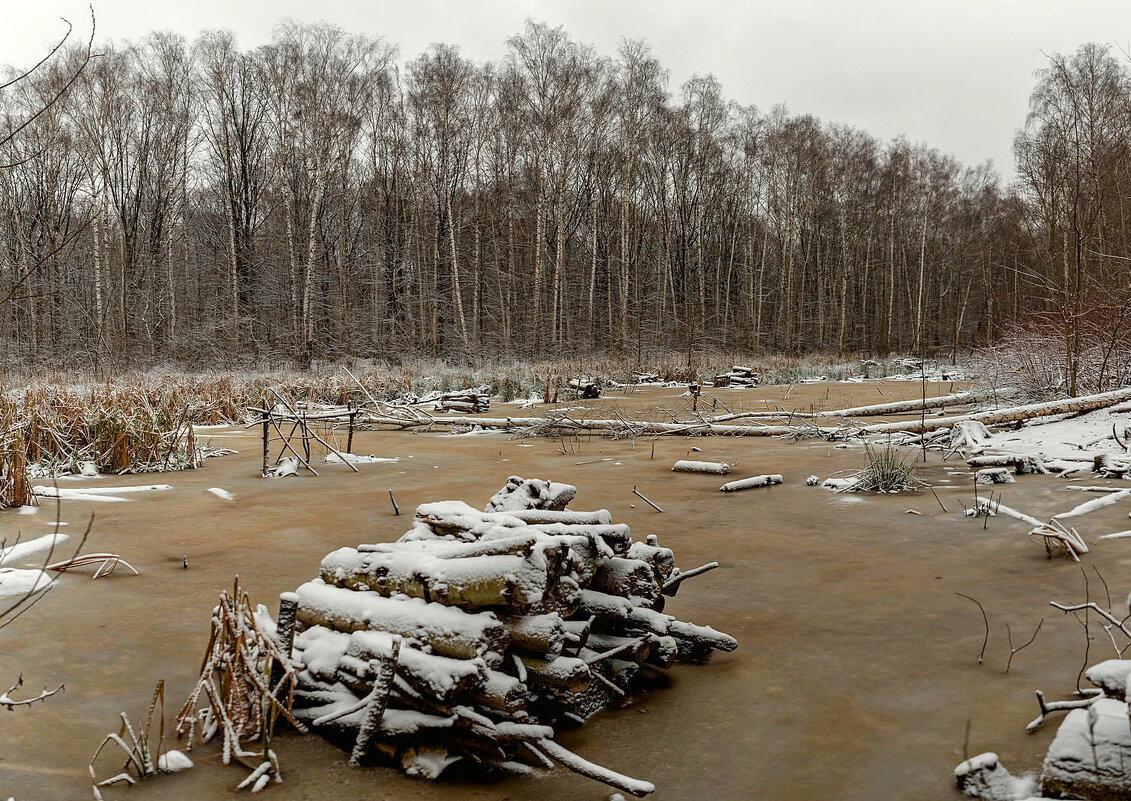 Первый снег на болоте - Александр Орлов