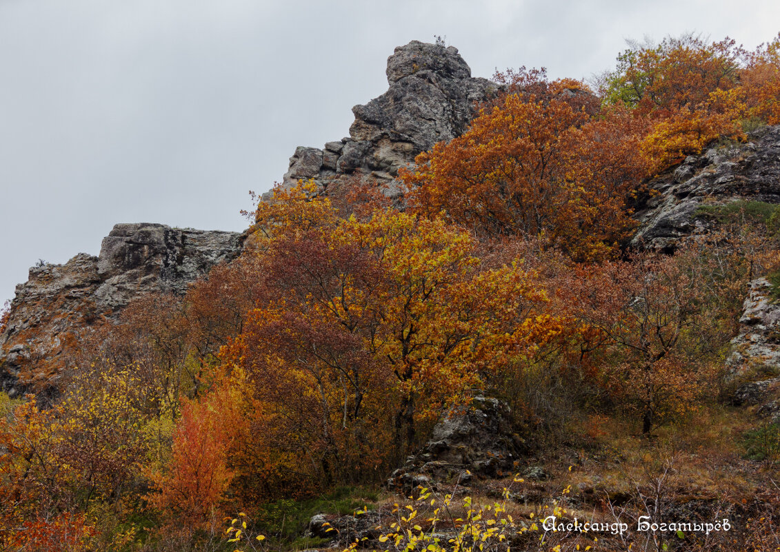 *** - Александр Богатырёв