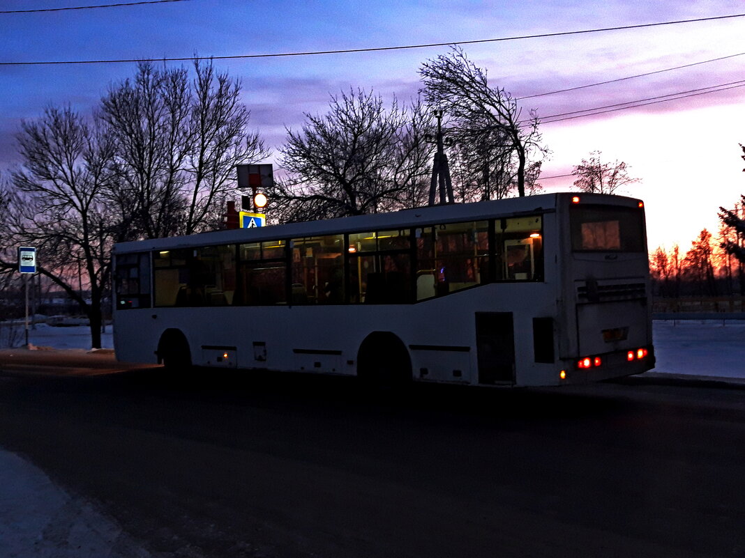 Поздний автобус - Дмитрий (Горыныч) Симагин