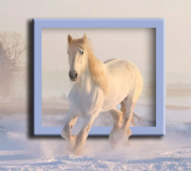 Белая лошадь зимой - Любовь ***