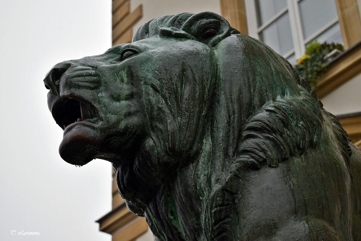 Скульптура льва возле Ратуши - Татьяна Ларионова