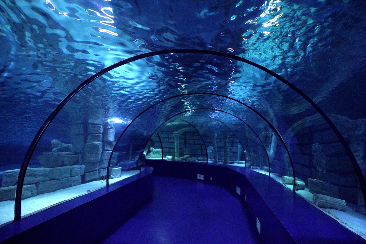 Подводный тунель - Наталья Т