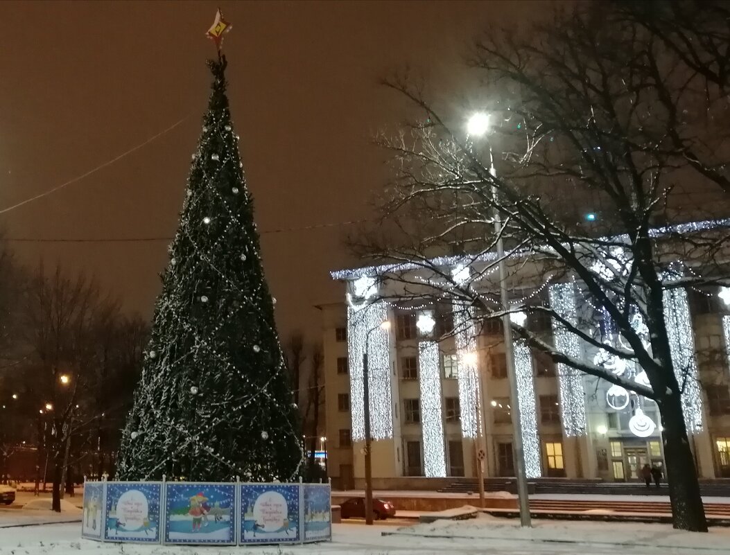 Вечером в Санкт-Петербурге - Митя Дмитрий Митя