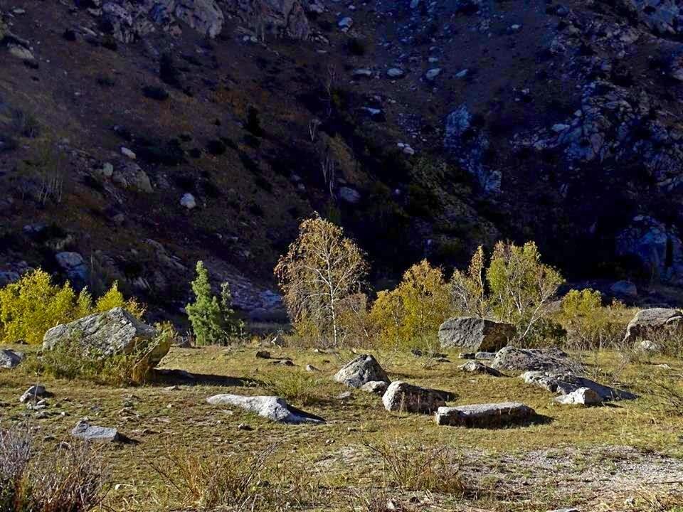 ДОЛИНА ОЙГАИНГА. - Виктор Осипчук