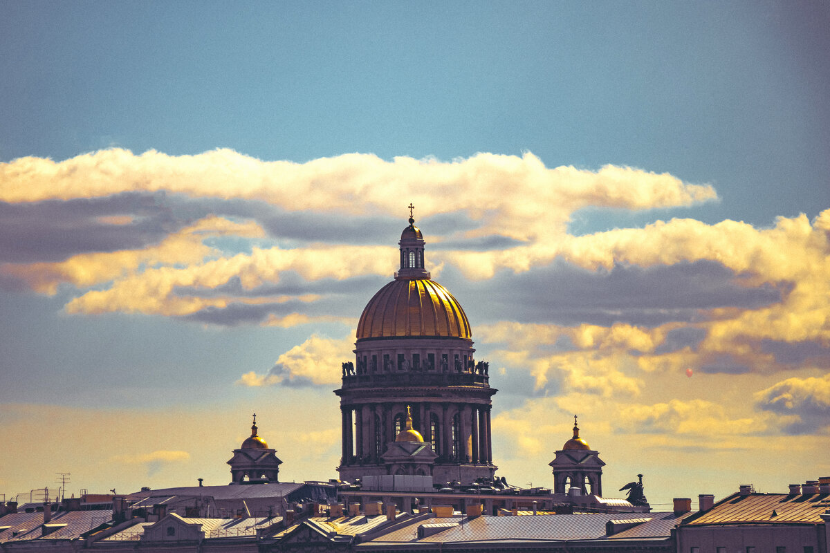 Шарик - Роман Самарский