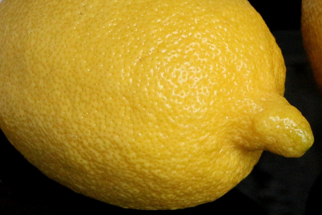 Это не сказочный принц Лимон, а просто солнечный лимон - Надежд@ Шавенкова