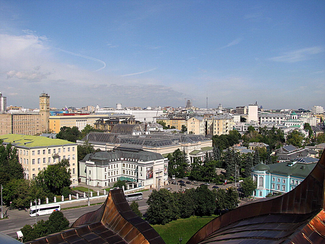 Москва. Вид Москвы с  храма Христа Спасителя. - Владимир Драгунский