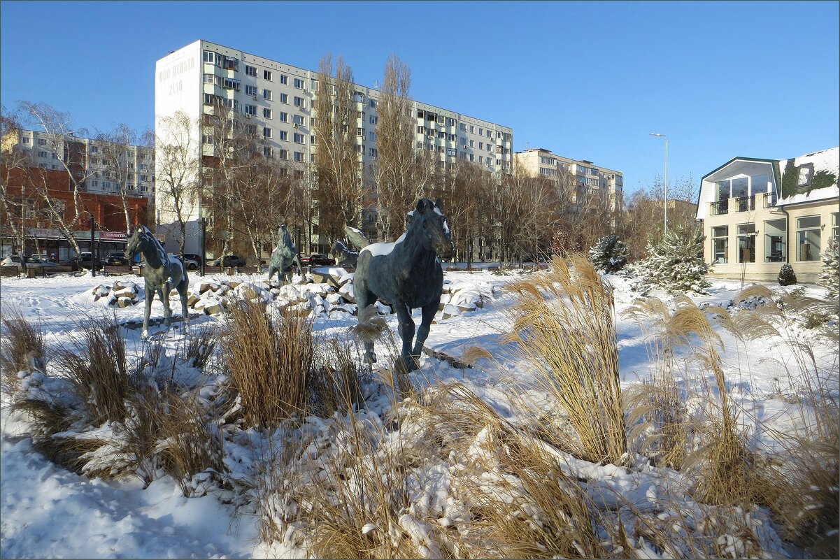 Степь в снегу, ковыль-трава, табун, кони... кусочек вольницы в городе...! - Татьяна Смоляниченко