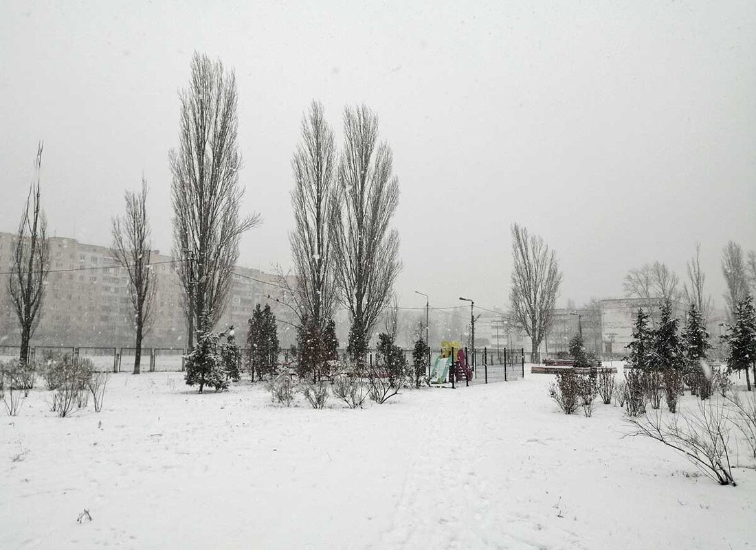 Один лишь день была зима снежная, настоящая...) - Тамара Бедай 