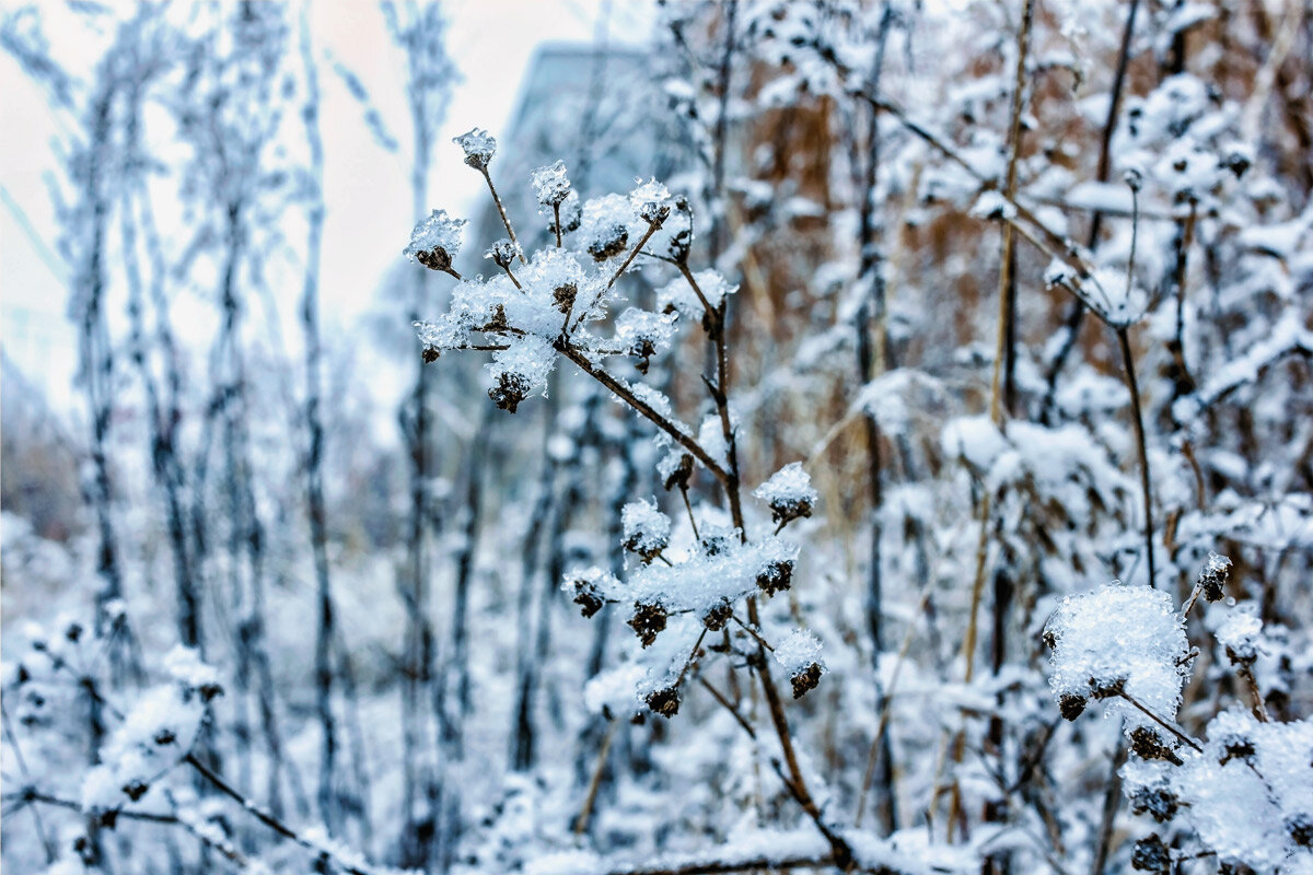 С шапками.. - Юрий Стародубцев