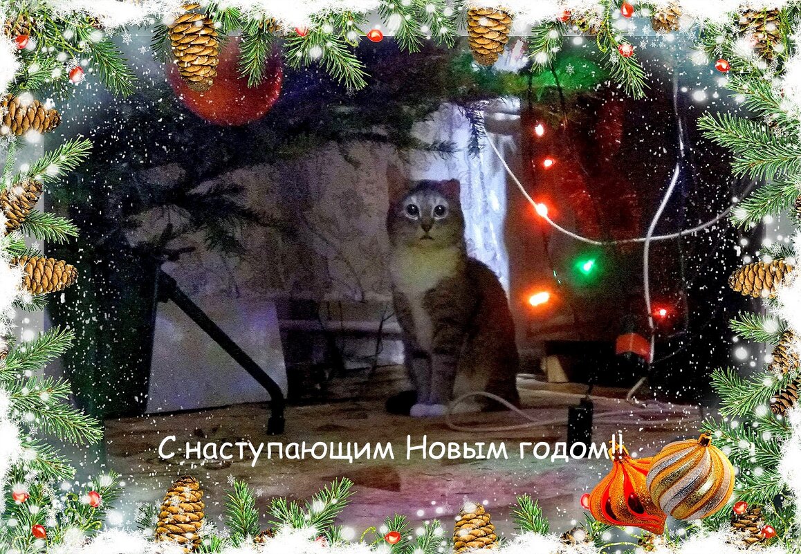 С наступающим Новым Годом!! - Марина Таврова 