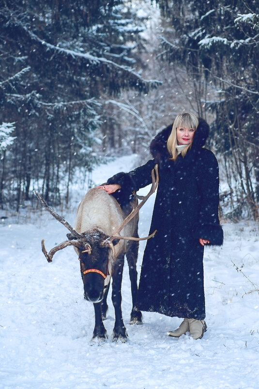 Девушка с северным оленем - Юлия Крапивина