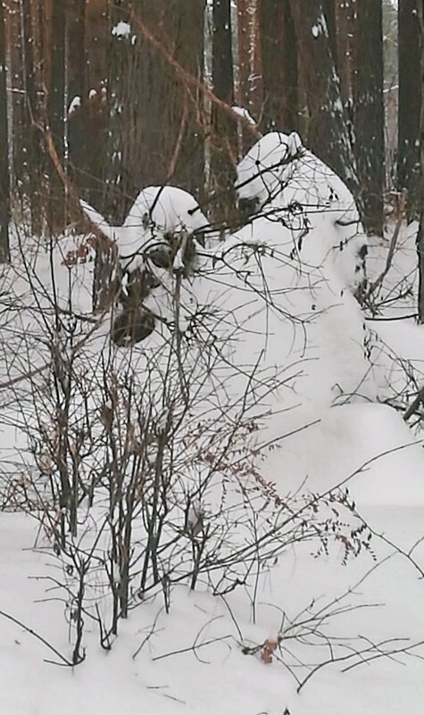 Наблюдение после снегопада.Два друга медведя, сидящие в обнимку - Лидия (naum.lidiya)
