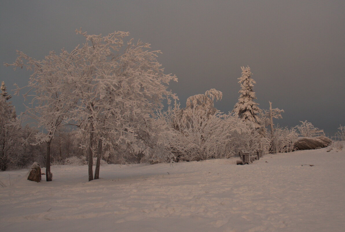 Зима рисует только белой краской... - Galina Serebrennikova