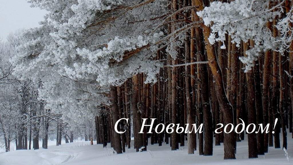 С Новым годом! - Сергей Кузнецов