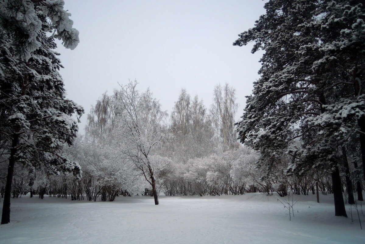 Очарование зимы... - Анна Суханова
