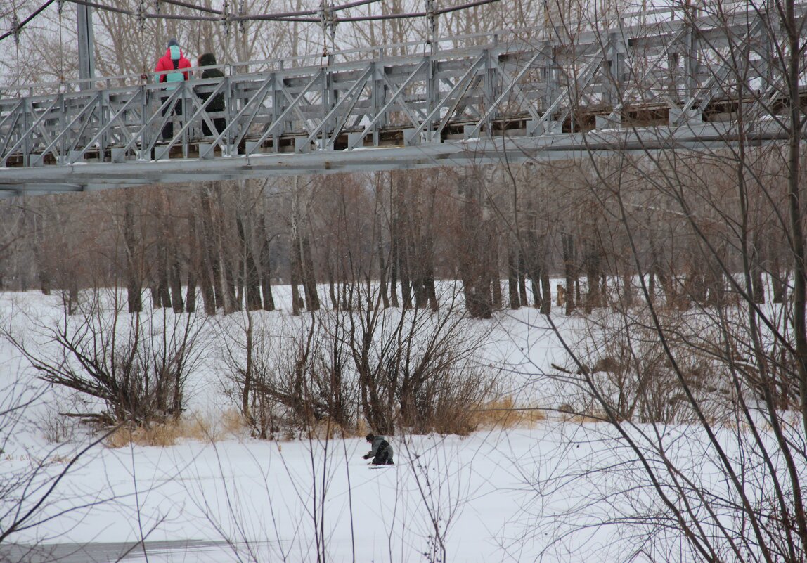 За городом. - Венера Чуйкова