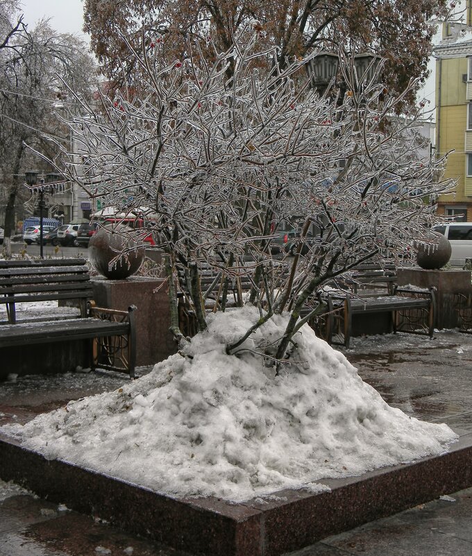 Ледяной дождь - Роман Савоцкий