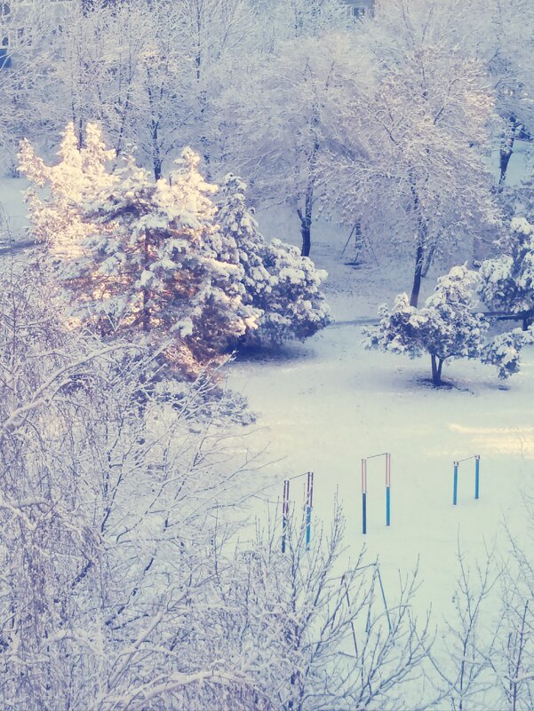 Зимнее утро - Татьяна 