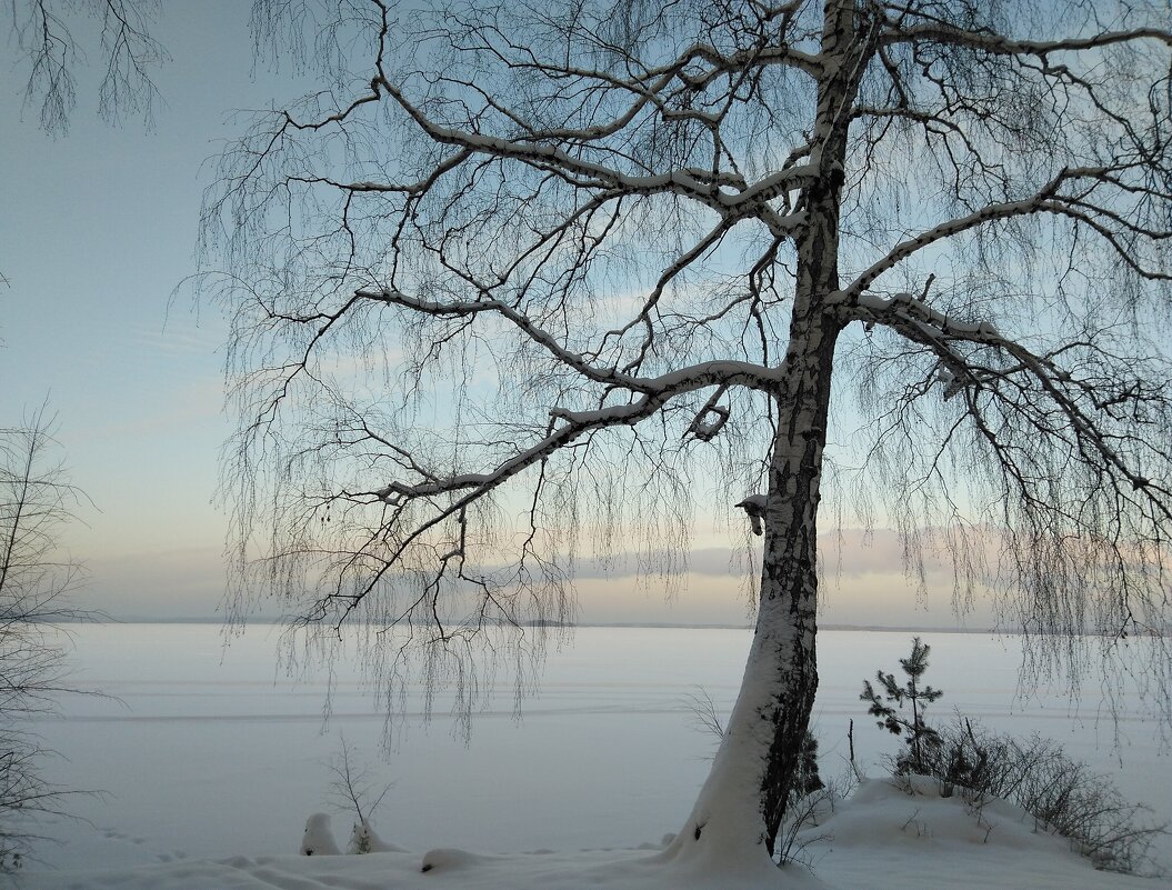 Зимняя картина.... - Анна Суханова