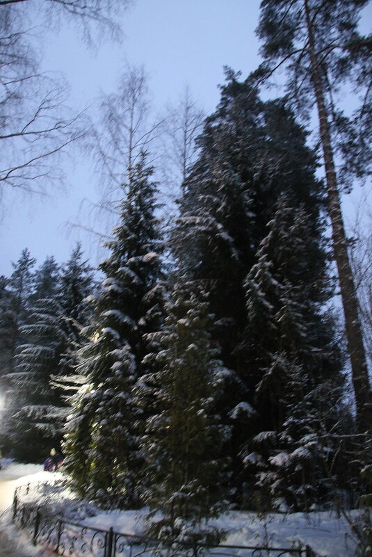 Снежный январь.. - Tatiana Markova