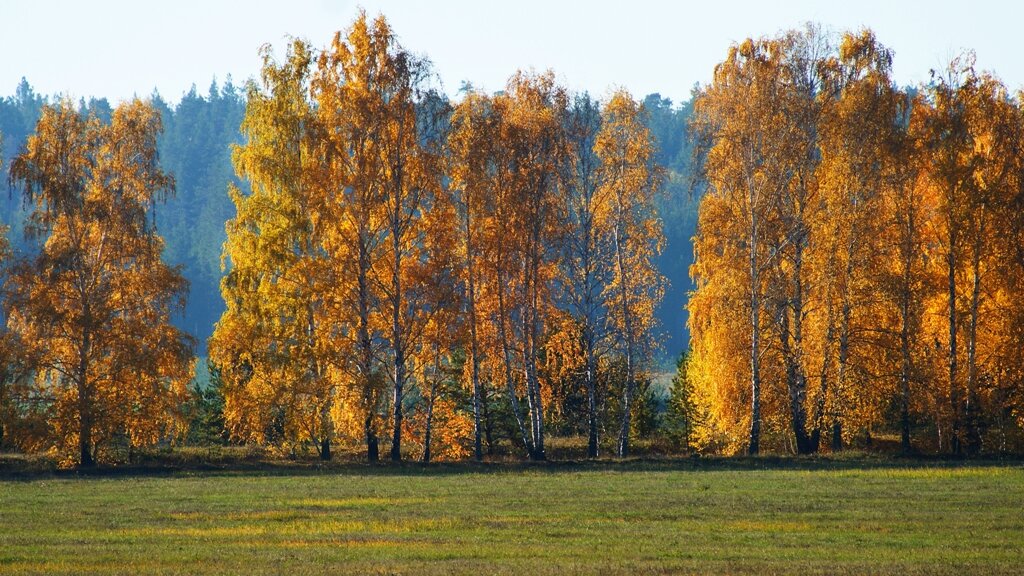 *** - Юрий Колесников