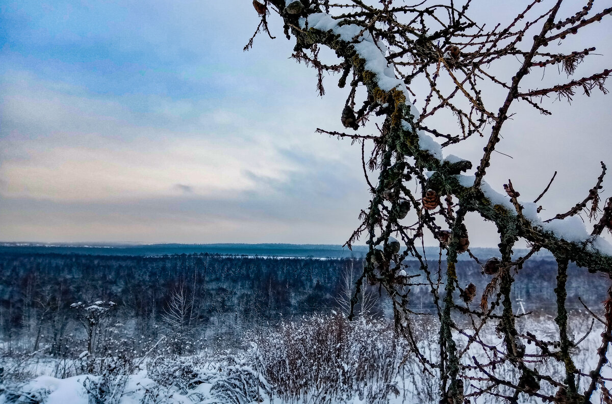 Фото - Мария Яковлева