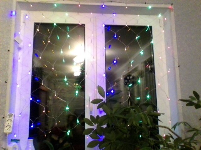 окно с герляндой и растениями - миша горбачев