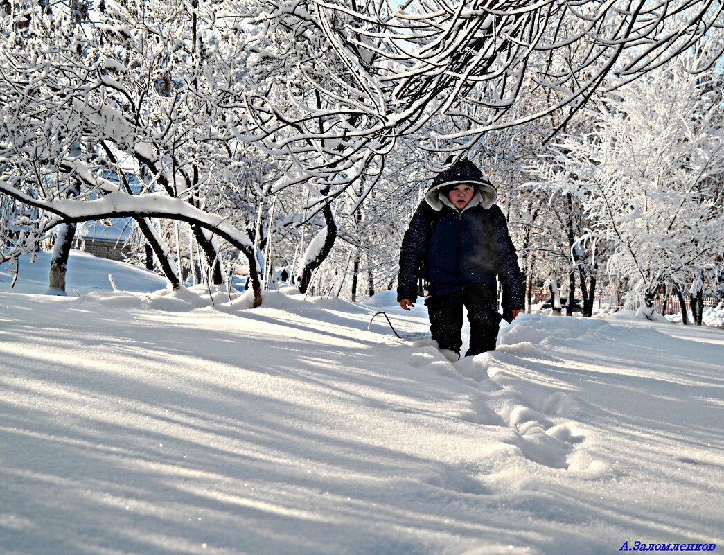 Однажды в студёную зимнюю  пору я из лесу вышел..:-) - Андрей Заломленков
