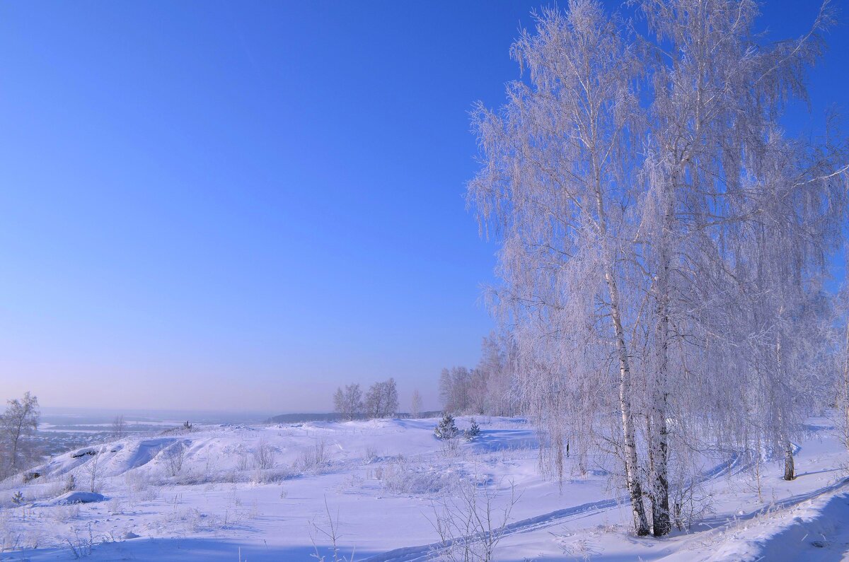 Морозный день в январе - Вера Андреева