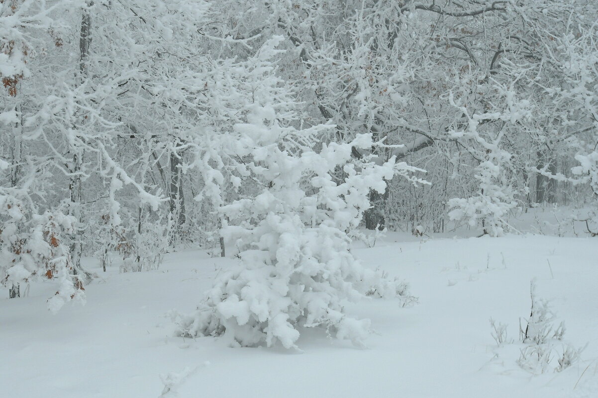 *** - Яковлев Виктор 