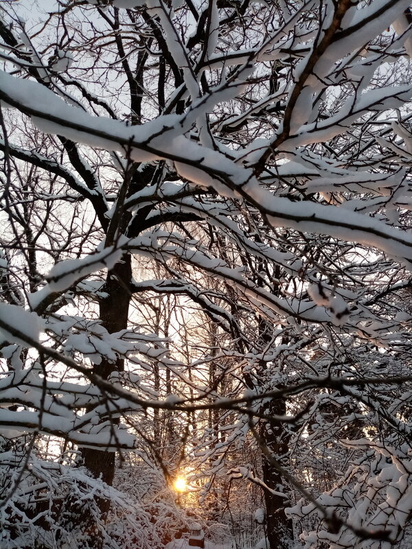 Зима и солнце - Михаил 