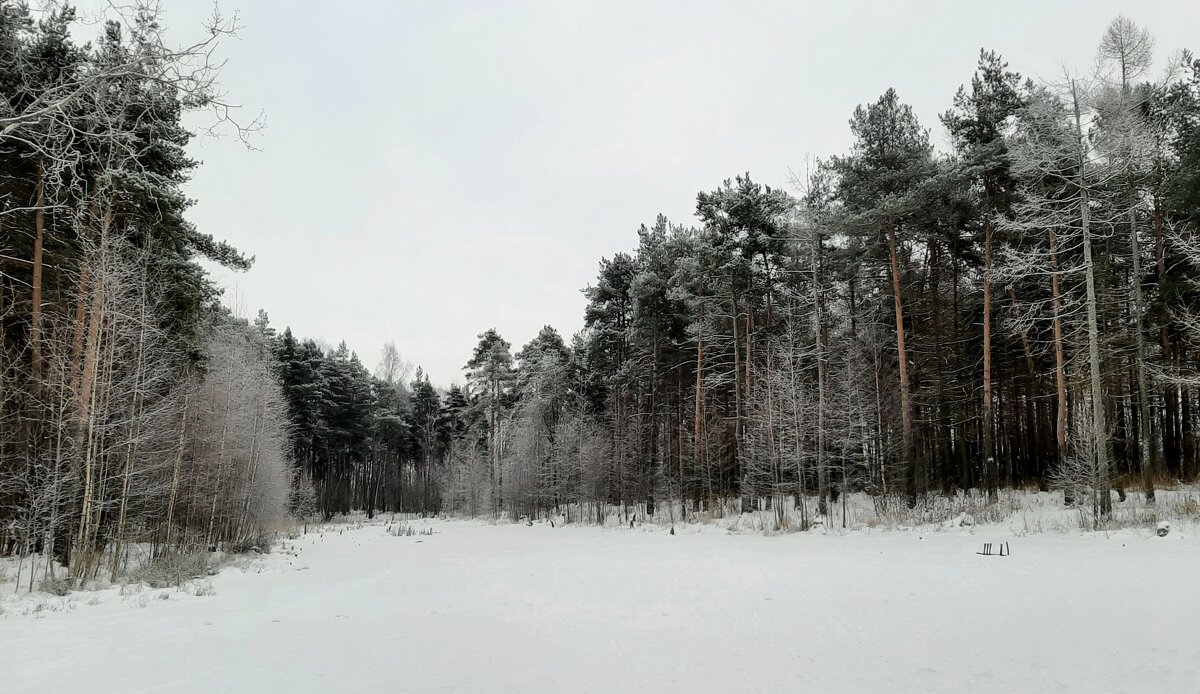Морозный январь - Елена Павлова (Смолова)