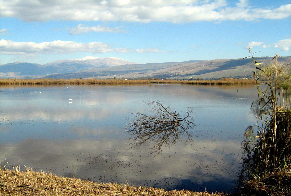 Озеро Хула - Гала 