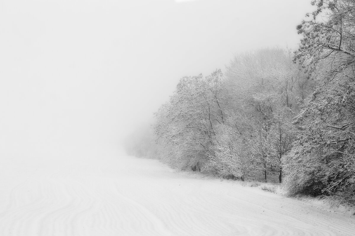 Поле,снег,густой туман - Евгений Воропинов